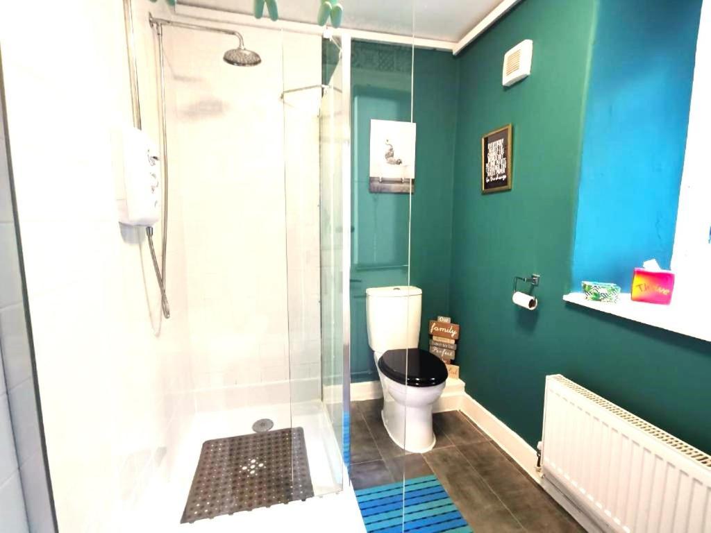 Zipworld Waterfalls Eryri Dogs Welcome 3 Bed Sleeps 5 布莱奈费斯蒂尼奥格 外观 照片